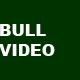 BULL VIDEO